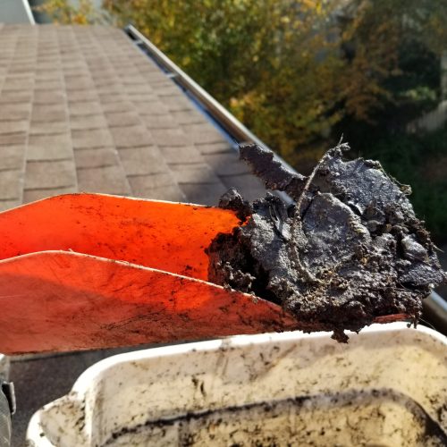 Best Gutter Cleaning Agencies Calistoga